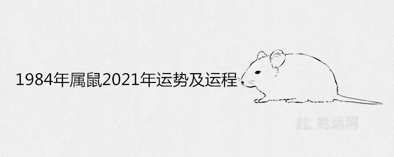 984年屬鼠2021年運勢及運程解析"