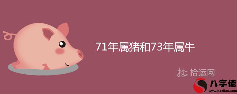 1年屬豬和73年屬牛婚姻匹配合不合"