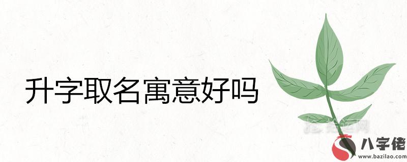 升字取名寓意好嗎