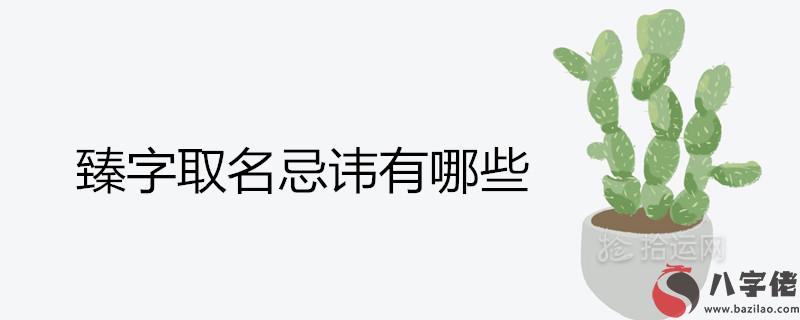 臻字取名忌諱有哪些 搭配什麼字名字最好