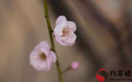 2020年9月6號七月十九出生的女孩是什麼命,五行八字起名