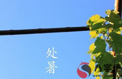 020處暑后一天是吉日？處暑出生八字五行缺土女孩起名"