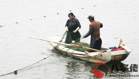 做夢捕魚什麼意思 是好兆頭嗎