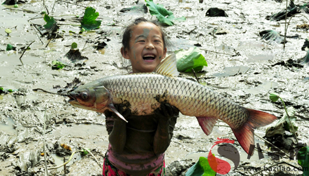 做夢夢見抓黑魚 捉黑魚怎麼回事 是好兆頭嗎