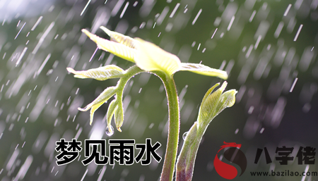 做夢夢見雨水怎麼回事 有什麼征兆