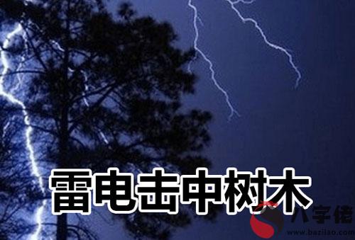 做夢雷電擊中樹木預示什麼 是不好的嗎