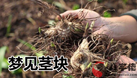 夢見莖塊是什麼征兆 說明什麼