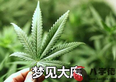 做夢夢見大麻是好事嗎 有好兆頭嗎