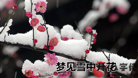 做夢夢到雪中開花怎麼回事 是好兆頭嗎