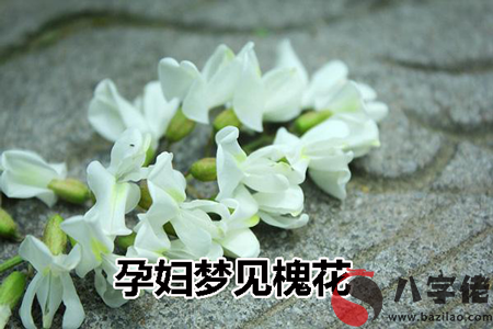 夢見孕婦槐花什麼意思 是好兆頭嗎