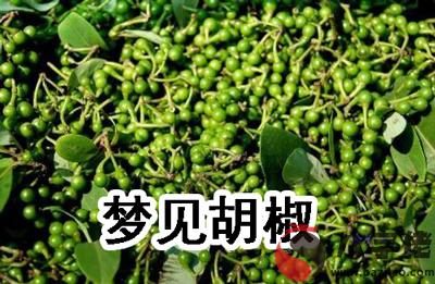 做夢夢見胡椒什麼意思 有什麼預兆