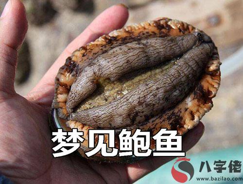 夢到鮑魚是什麼征兆 說明什麼