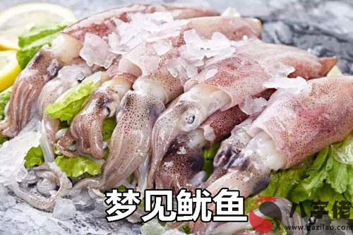 夢見魷魚怎麼回事 有什麼征兆