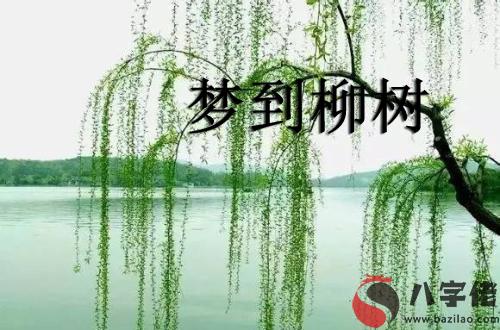 夢見水邊垂柳怎麼回事 有什麼征兆