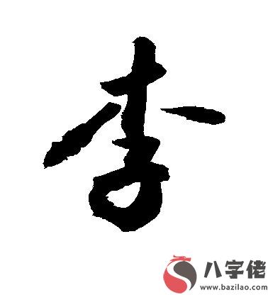 姓李的男孩有內涵名字