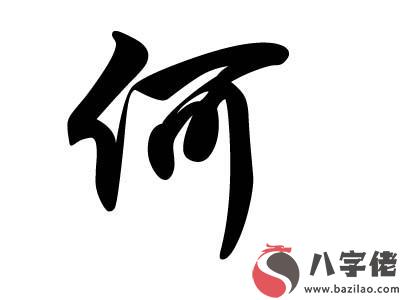 何氏起名有涵養的名字 