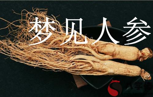 做夢夢到人參怎麼回事 是好兆頭嗎