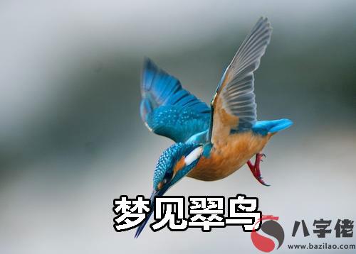 做夢翠鳥有什麼寓意 要注意什麼