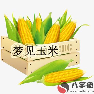 做夢玉米怎麼回事 有什麼征兆