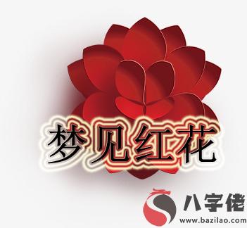 做夢夢到紅花是好事還是壞事