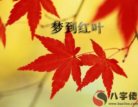 做夢夢到紅葉有什麼寓意 要注意什麼