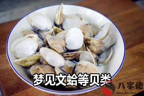 夢見文蛤等貝類什麼意思 有什麼預兆