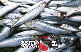 夢到沙丁魚怎麼回事 是好兆頭嗎