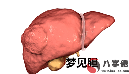 做夢夢見膽怎麼回事 有什麼征兆