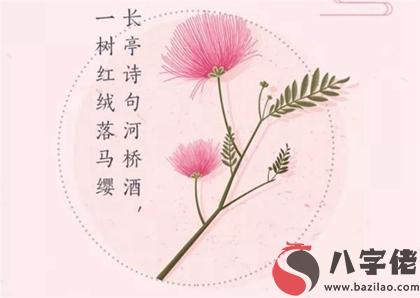 020年芒種（6月5日）出生寶寶好聽個性乳名推薦！"