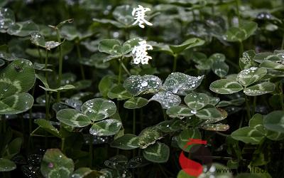 020年寒露節氣丑時出生的寶寶命好不好，五行分析"