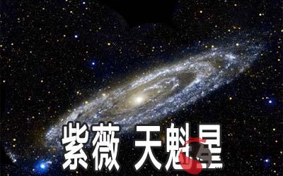 紫微甲級星曜：天魁星詳解