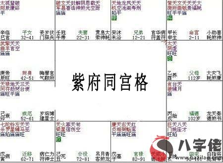 紫微斗數富貴格局：紫府同宮格詳解