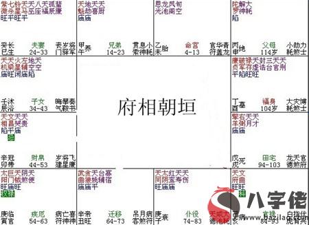 紫微斗數富貴格局：府相朝垣格詳解