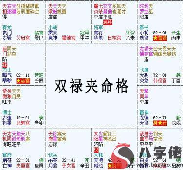 紫微斗數富貴格局：雙祿夾命格詳解