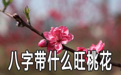 男人八字帶什麼桃花運會旺