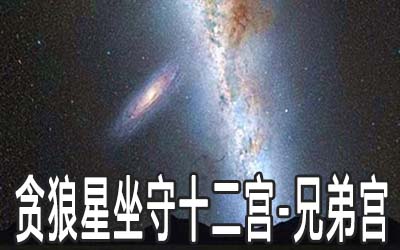 貪狼星坐守十二宮：兄弟宮詳解