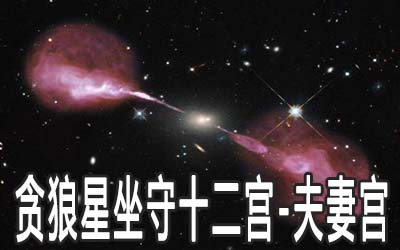 貪狼星坐守十二宮：夫妻宮詳解