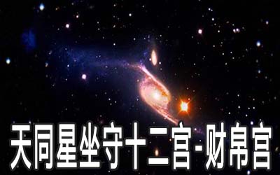 天同星坐守十二宮：財帛宮詳解