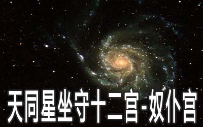 天同星坐守十二宮：奴仆宮詳解