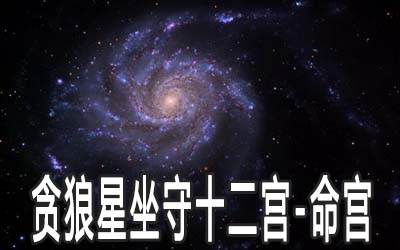 貪狼星坐守十二宮：命宮詳解