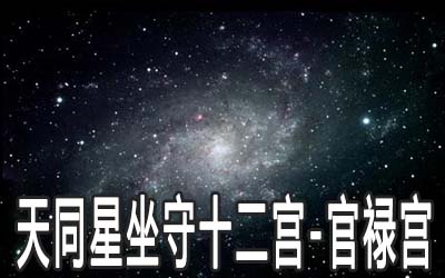 天同星坐守十二宮：官祿宮詳解