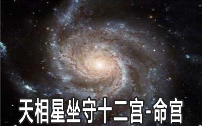 天相星坐守十二宮：命宮詳解