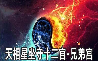 天相星坐守十二宮：兄弟宮詳解