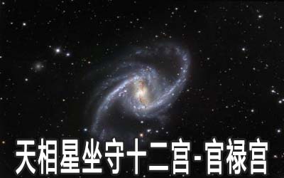 天相星坐守十二宮：官祿宮詳解