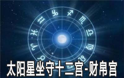 太陽星坐守十二宮：財帛宮詳解