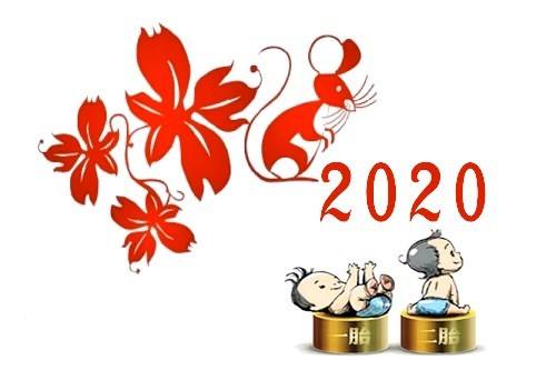 2020年出生的人是什麼命