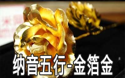 八字納音五行：金箔金命詳解