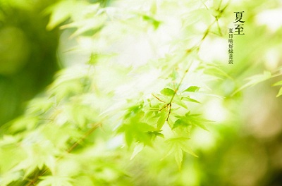 020鼠年夏至節氣午時出生屬鼠寶寶命好嗎？"