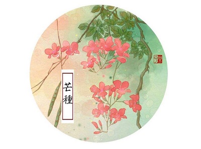 020年芒種節氣巳時生人五行缺什麼，是什麼命？"