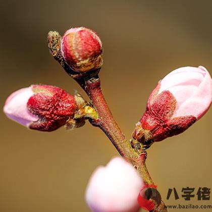 水逆太衰？測測未來三個月你哪方面能轉運